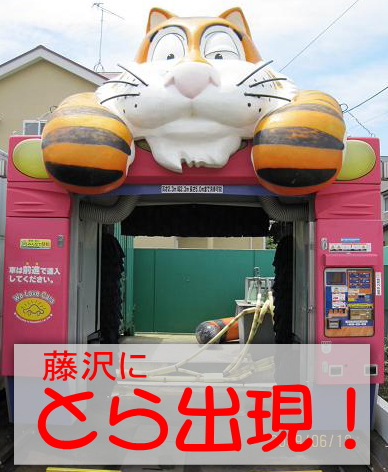 巨大なとらが目印！藤沢のコイン洗車。トラ次郎はキズのつかない布ブラシです。